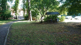 Camping_Bottendorf_2